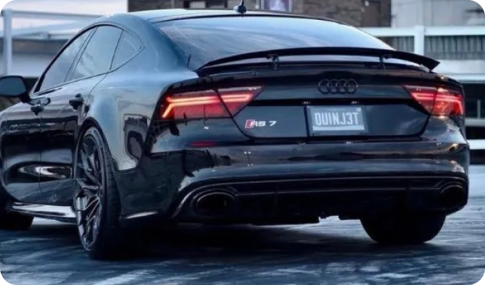 Digital license plate customization